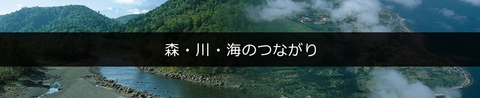 森・川・海のつながり